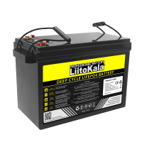 Аккумуляторная батарея LiitoKala LiFePO4 12,0V 200Ah (355*245*180mm), 16kg