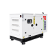 Генератор дизельний Uzman Ricardo (UZM R-110) 110KVA/88KW, трифазний (AVR+ATS (АВР) у комплекті)